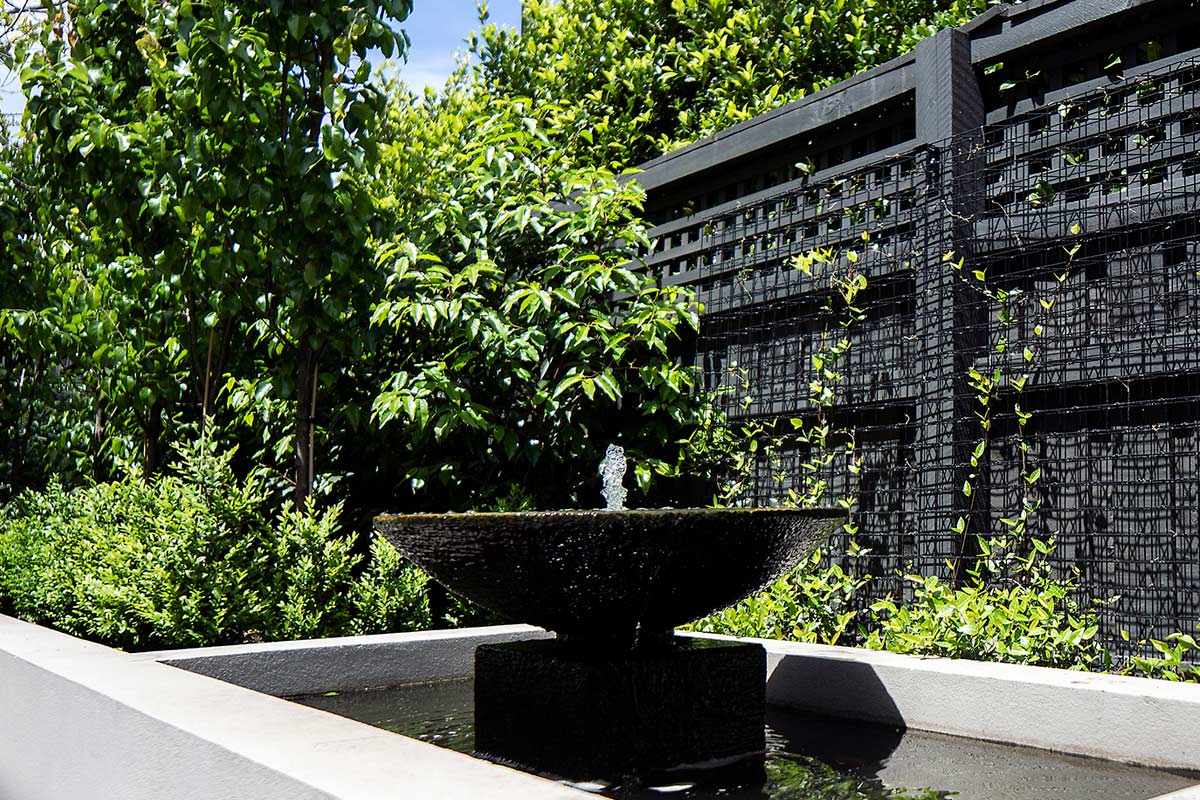 path-design-studios_hawthorn-garden_water-feature_star-jasmine