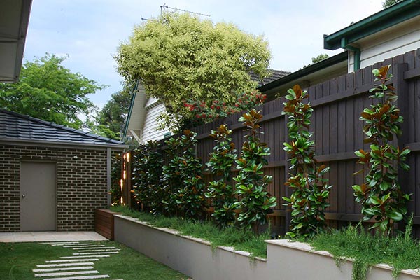 path-design-studio_landscape-design_ivanhoe-house-garden_06_600x400