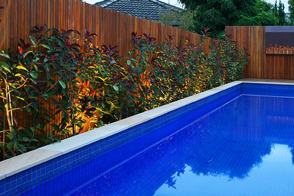 path-design-studio_landscape-design_ivanhoe-house-garden_09_600x400